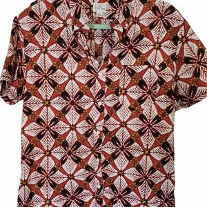 Men's JCrew button down size L slim